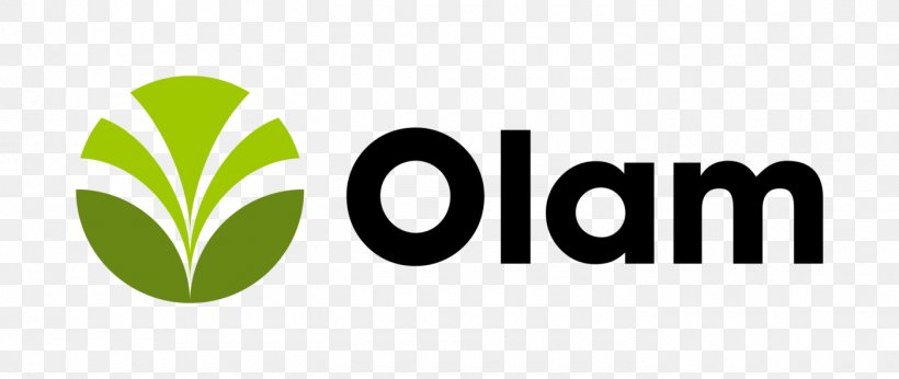 Olam