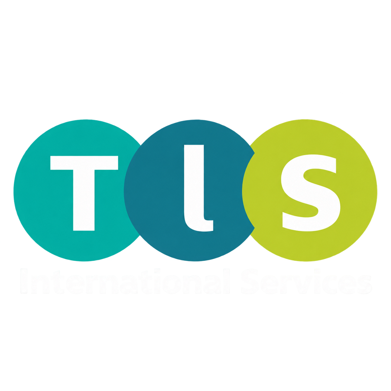 TLS International Services